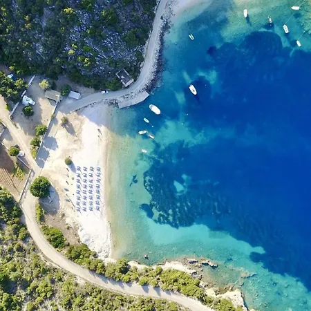 Anesis By Vintage Travel Φισκάρδο